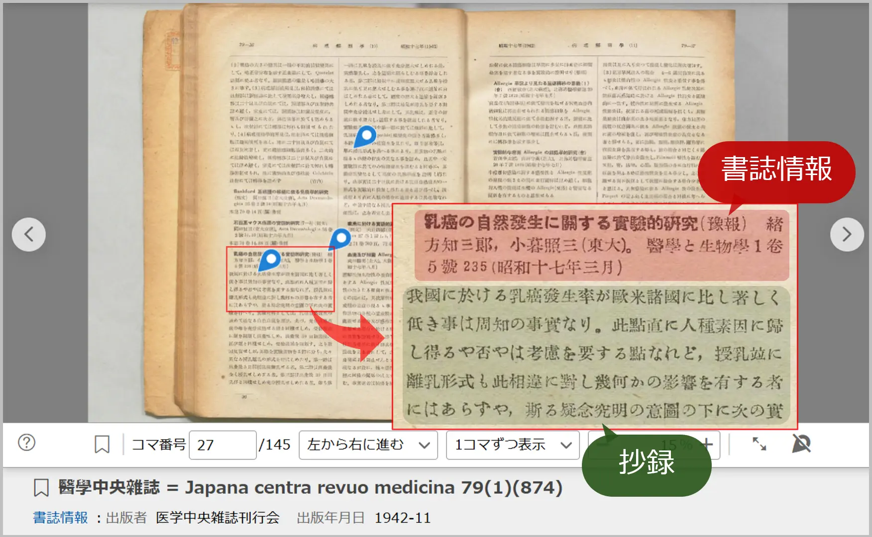 医中誌の該当ページ、記事情報。書誌情報（赤）と抄録（緑）の部分を網掛けで表示。