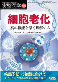 細胞老化 真の機能を深く理解する  疾患予防・治療に向けてセノリティクスの本質的な課題に挑む 実験医学