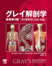 グレイ解剖学